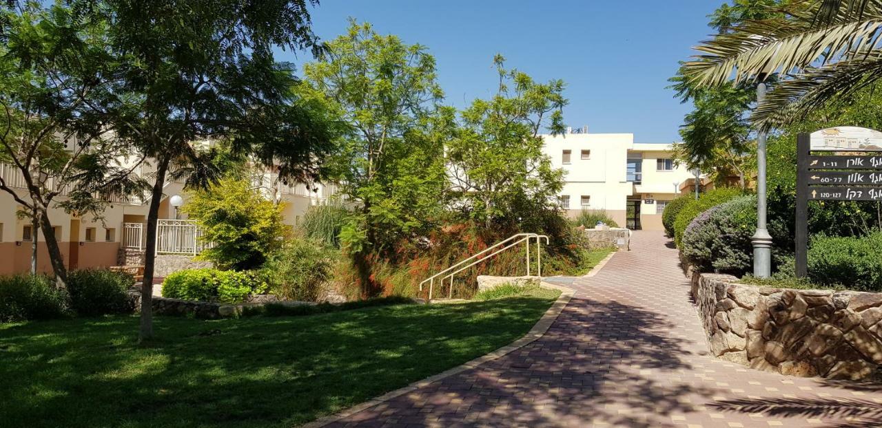 Hi - Arad Hostel Kültér fotó